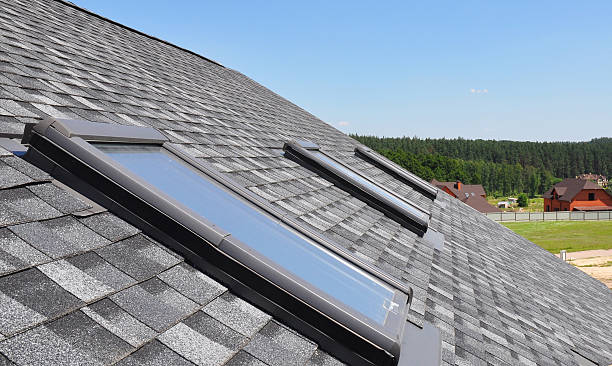 beautiful roof windows and skylihts.spring forest.suburb.